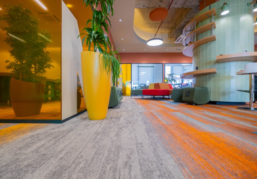 Gravity Plank Carpet