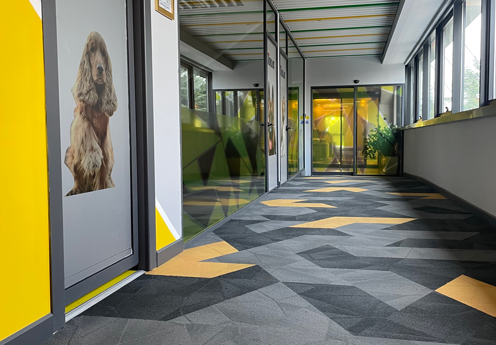 Trape-T Modular Carpet